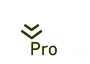 Интернет магазин саженцев и декоративных растений ProСад
